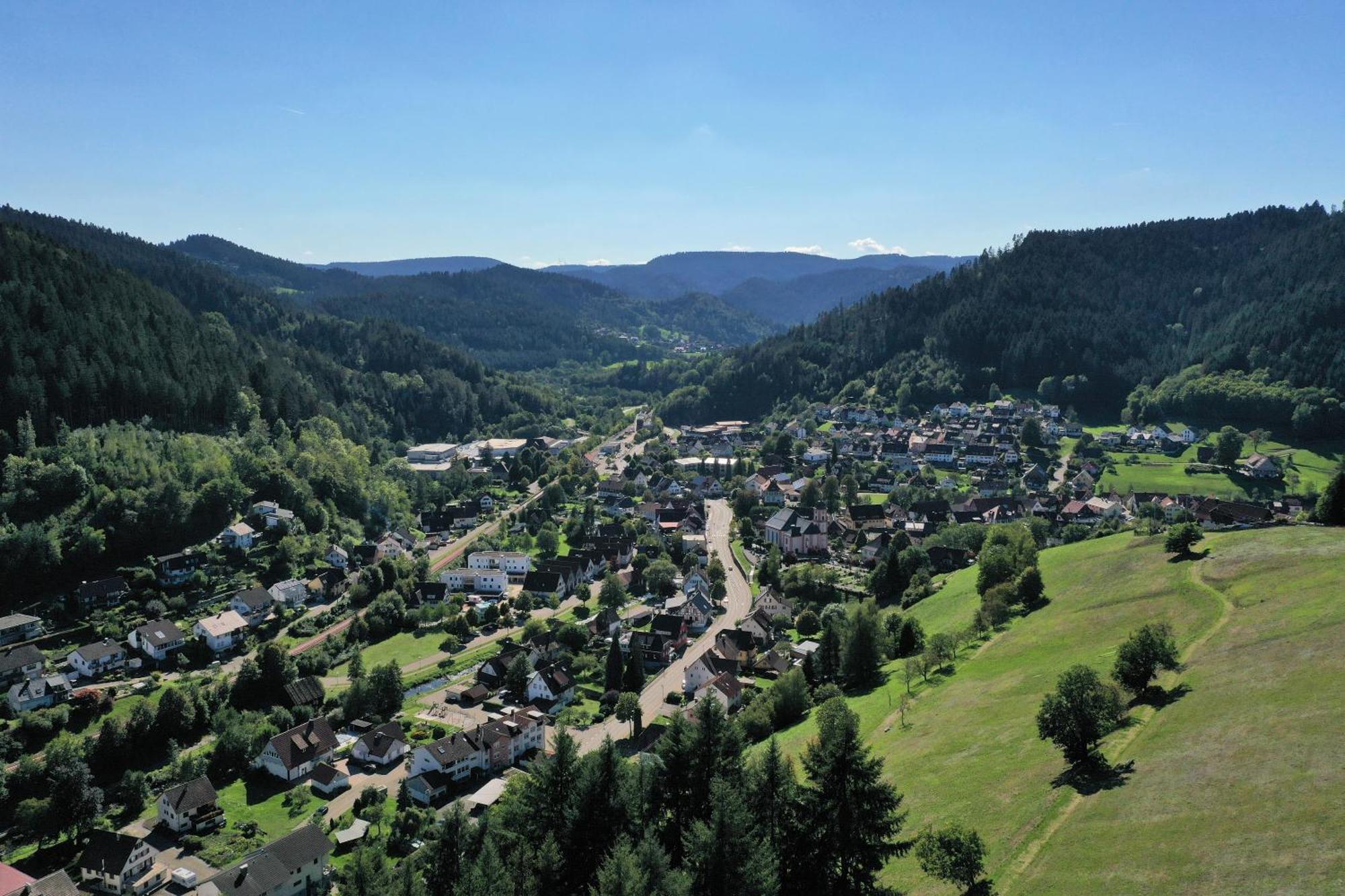 Schwarzwald Blockhaus - Sauna - Kamin - Mit Bettwaesche Und Handtuecher Schenkenzell Kültér fotó