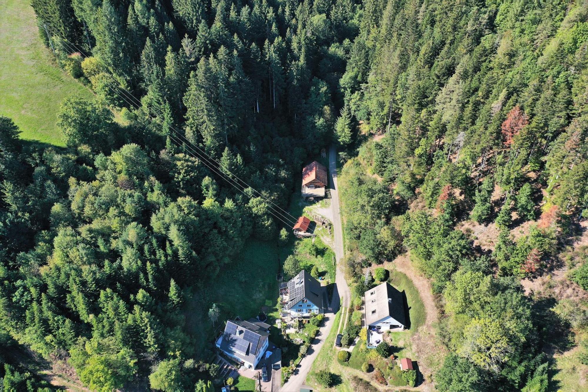 Schwarzwald Blockhaus - Sauna - Kamin - Mit Bettwaesche Und Handtuecher Schenkenzell Kültér fotó